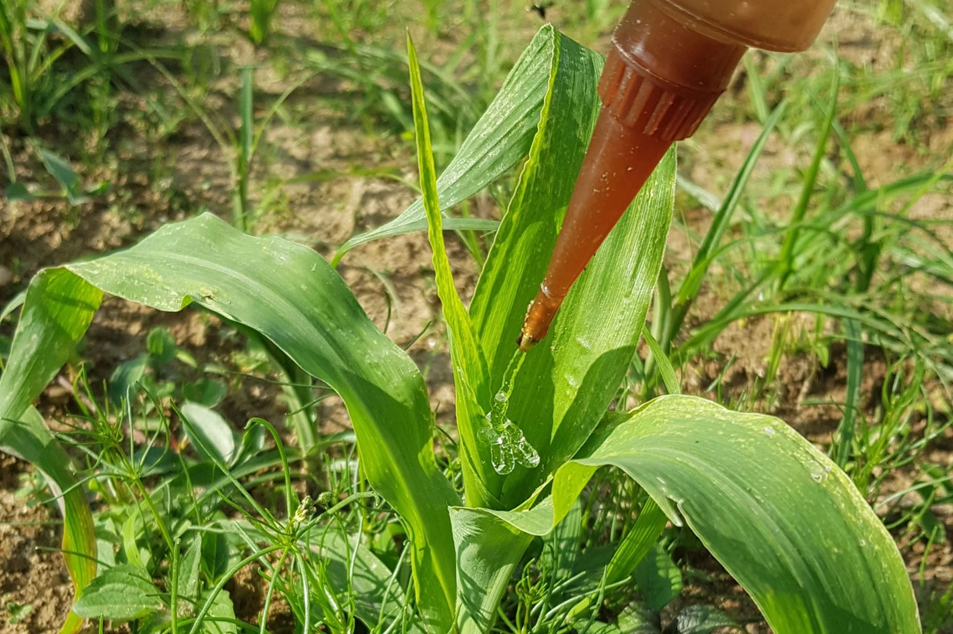 Gél-technológia kép